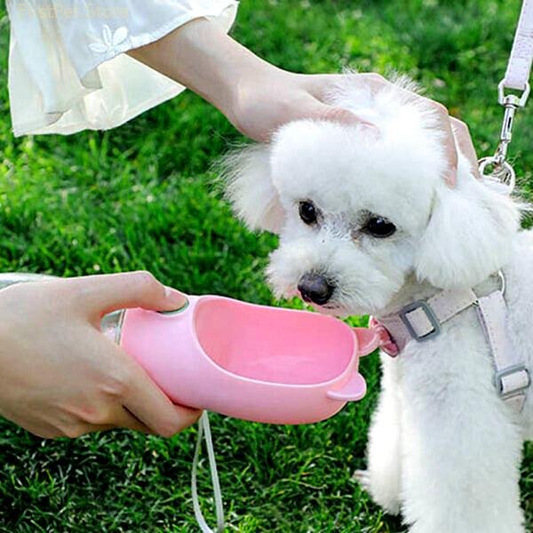 350ml Portable Travel Dog Water Bottle for Small Medium Dogs Outdoor Walking Puppy Water Dispenser Cats 3