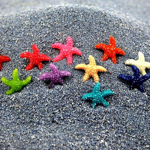 5 10 20pcs Mini Resin Cute Multicolor Miniature Sea Star New Home Decoration Accessories Modern Tank
