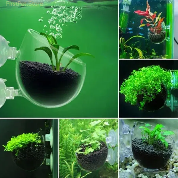 Aquarium Hanging Feeding Cups Fish Tank Decorations Mini Crystal Acrylic Pot Aquatic Plants Planting Cylinder Cup 2