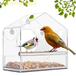 Bird Feeder Acrylic Transparent Window Bird Feeder Tray Bird House Pet Feeder Suction Cup Installation House