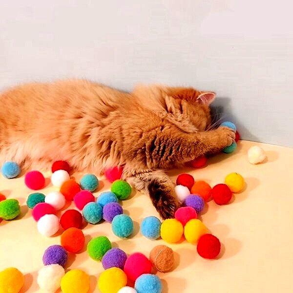 Cat Funny Interactive Teaser Training Toy Stretch Plush Ball Creative Kittens Mini Chew Ball Cat Chasing 2