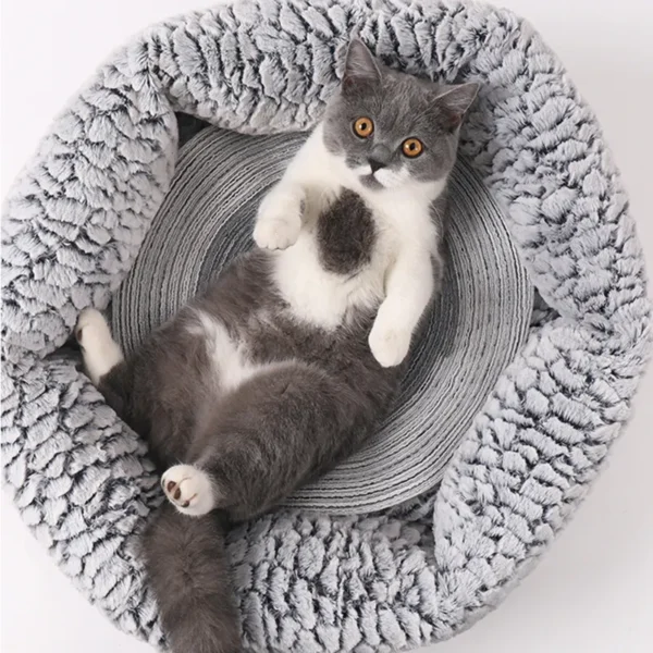Cat Scratching Pad Cat Scratcher Kitten Scraper Toys Pet Scratch Mats Cat Scratching Board Pad Furniture 2