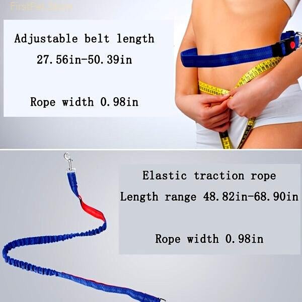 Dog Collar Retractable Bungee Leash Hands Free Running Walking Adjustable Waist Belt Harness Big Collars for 1