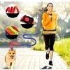 Dog Collar Retractable Bungee Leash Hands Free Running Walking Adjustable Waist Belt Harness Big Collars for 2