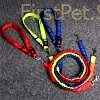 Dog Collar Retractable Bungee Leash Hands Free Running Walking Adjustable Waist Belt Harness Big Collars for 3