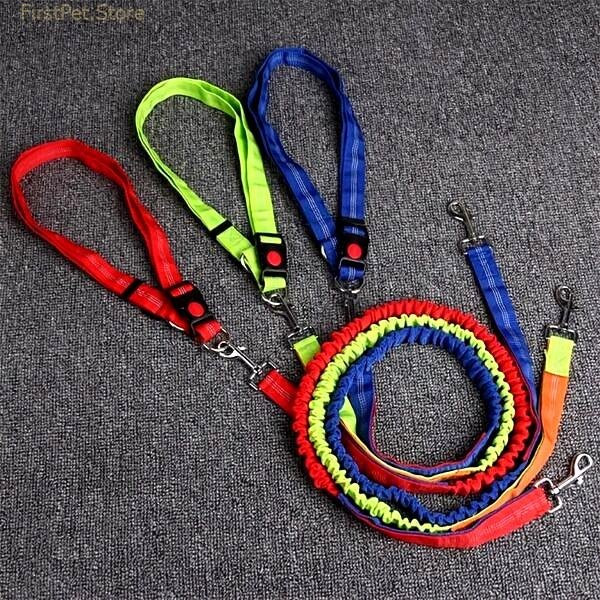 Dog Collar Retractable Bungee Leash Hands Free Running Walking Adjustable Waist Belt Harness Big Collars for 3