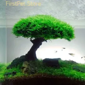 Fish Tank Plant Moss Tree Decorations Landscaping Wood Plant Root Driftwood Aquatic Plants Grass Aquarium Accessories