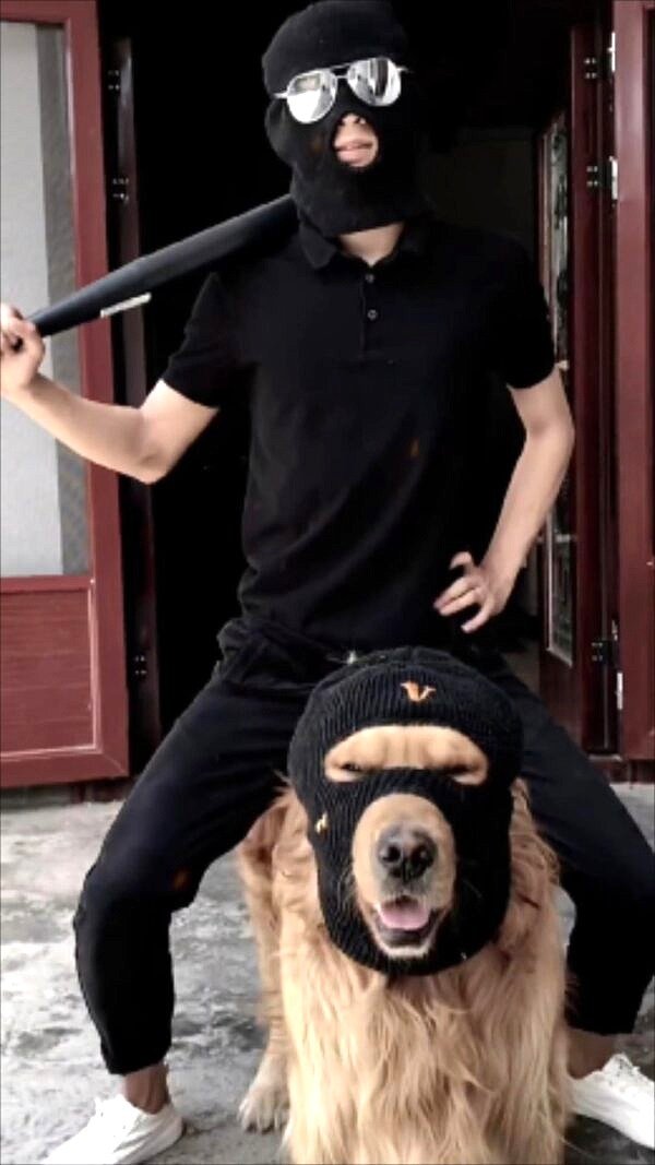 Funny Dog Costumes for Large Dogs Ski Mask Dog Hats for Dogs Pet Dog Helmet Accessories 2