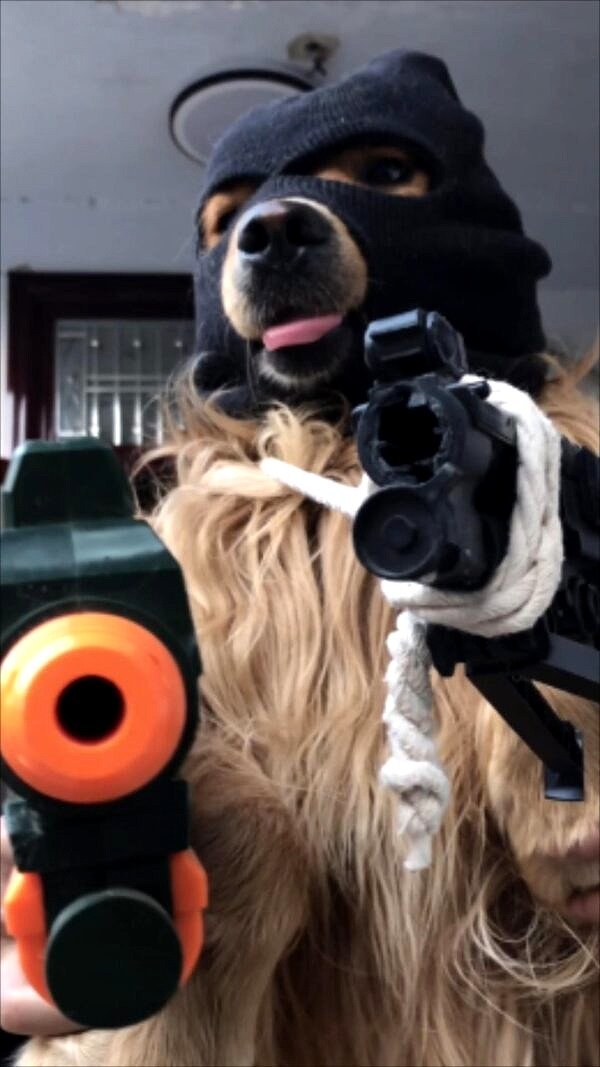 Funny Dog Costumes for Large Dogs Ski Mask Dog Hats for Dogs Pet Dog Helmet Accessories 3
