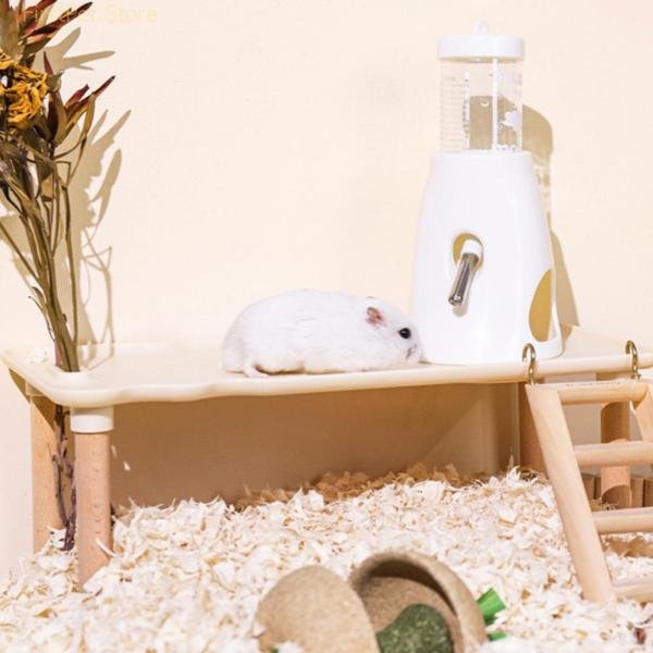 Hamster Water Dispenser Water Drinker Automatic Leak proof Ball Feeding Water Bottle Drinking Supplies Rabbit Accessories 2