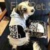 Letter Design Pet Dog Hoodies Cool Dogs Clothes For French Bulldog Dogs Pullover Sweatshirt Coats Small 5