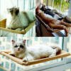 Pet Hammock Bed Cat Nest Cat Hanging Beds Bearing 17 5KG Window Hammock For Cats With 2