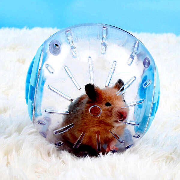 Plastic Outdoor Sport Ball Grounder Rat Small Pet Mice Jogging Ball Toy Hamster Gerbil Exercise Ball 1