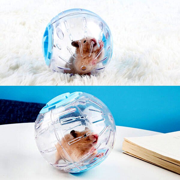 Plastic Outdoor Sport Ball Grounder Rat Small Pet Mice Jogging Ball Toy Hamster Gerbil Exercise Ball 2