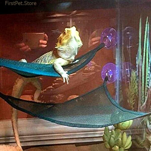 Reptile Hammock Lounger Ladder Accessories Set for Large Small Bearded Dragons Anole Geckos Lizards or Snakes 8