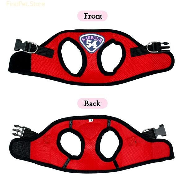 Small Medium Mesh Dog Cat Harness and Leash Set Puppy Kitten Harness Vest Walking Lead For 2