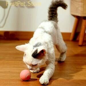 Smart Cat Toy Type C Rechargeable 360 Self Auto Rotating Interactive Cat Toys Ball with LED