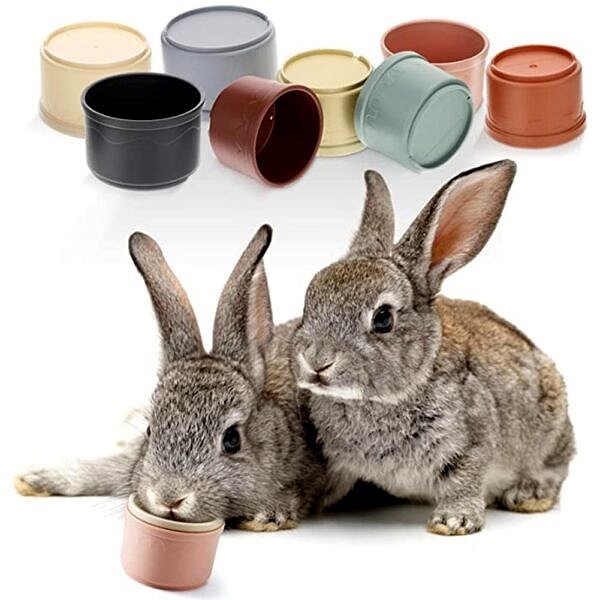 Stacking Cups Toy For Rabbits Multi Colored Reusable Small Animals Puzzle Toys For Hiding Food Playing 9
