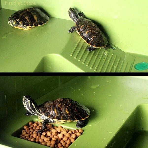 Turtle Frog Floating Island Aquatic Pet Reptile Supplies Aquarium Ornament Turtle Pier Reptile Habitat 2