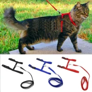 Cat Collar Harness Leash Adjustable Nylon Pet Traction Cat Kitten Dog Halter Collar gato Cats Products