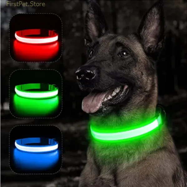 LED Glowing Dog Collar Adjustable Flashing Rechargea Luminous Collar Night Anti Lost Dog Light HarnessFor Small 1